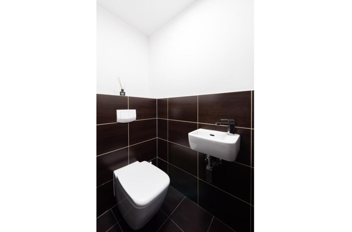Appartement Premiumn Penthouse With Terrace In Praag