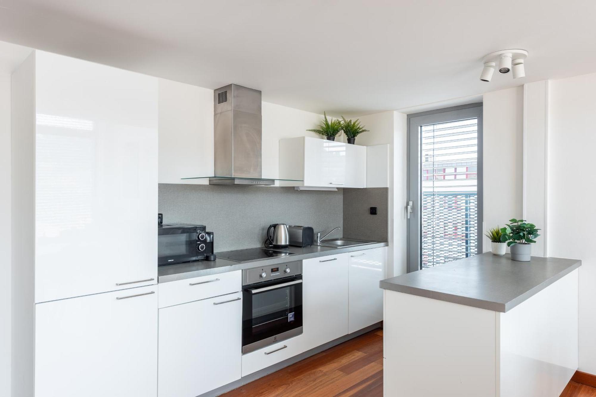 Premiumn Penthouse With Terrace In Praag